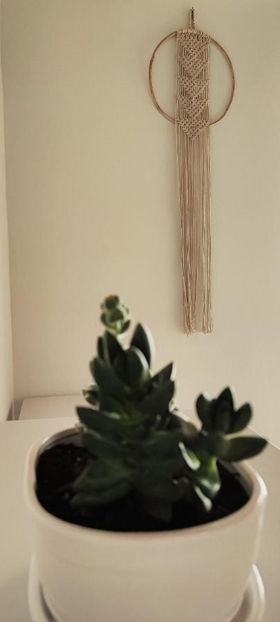 Orionides Apartment Tinos ภายนอก รูปภาพ
